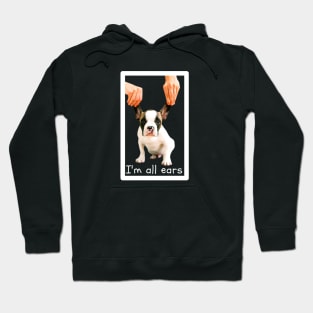 I'm all ears Hoodie